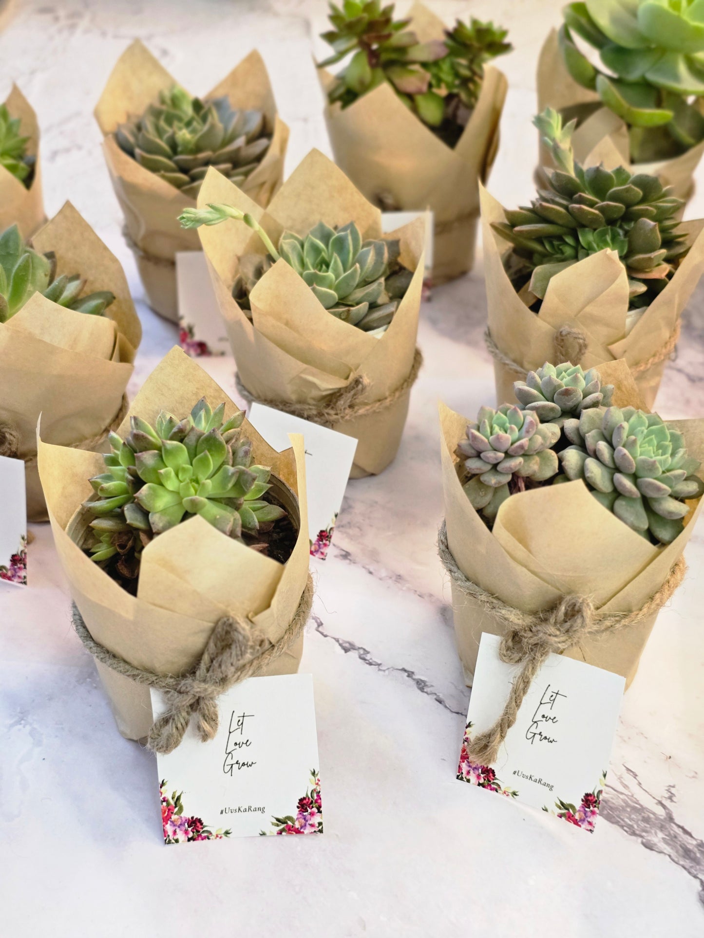 Grow With Love: Plant Wedding Favors
