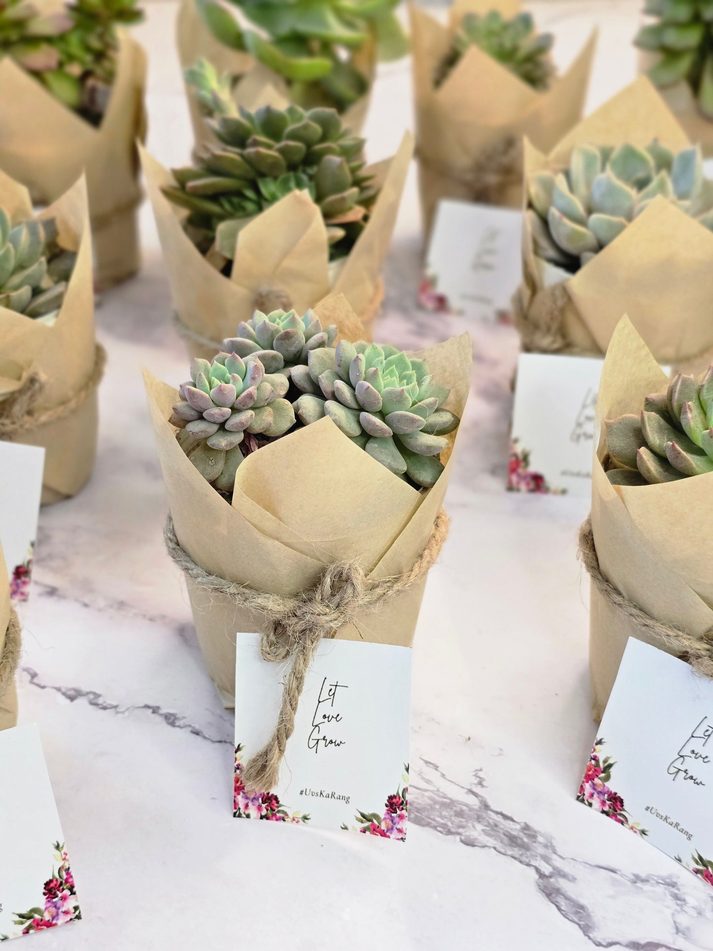 Grow With Love: Plant Wedding Favors